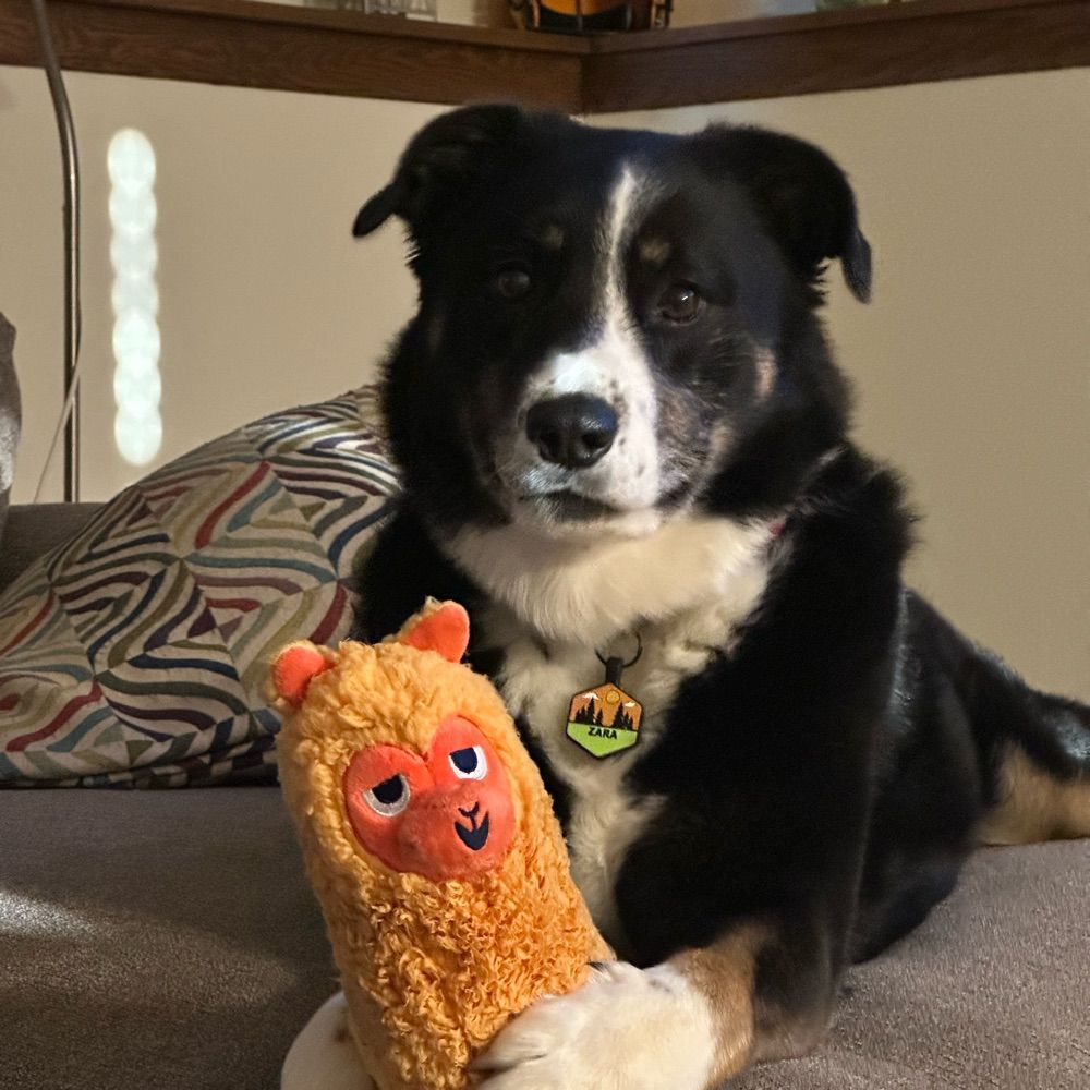 Meg
