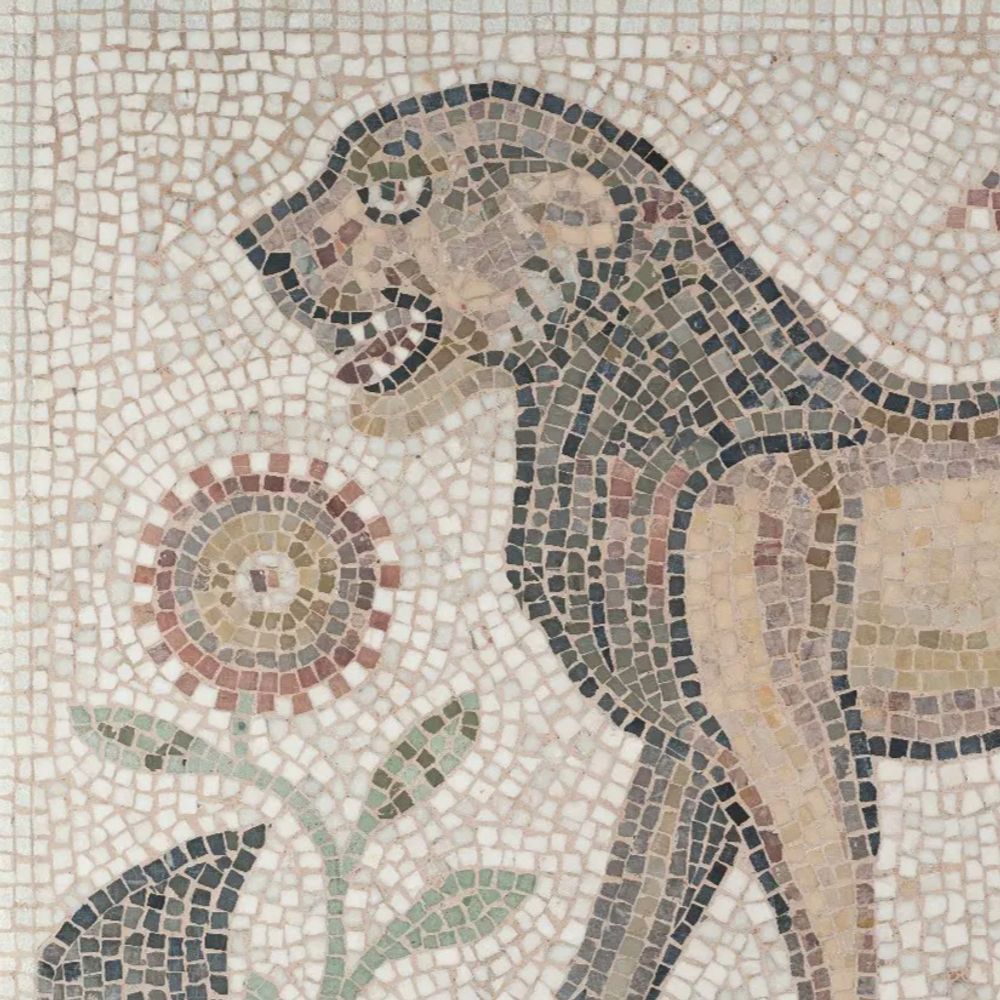 sinmayan