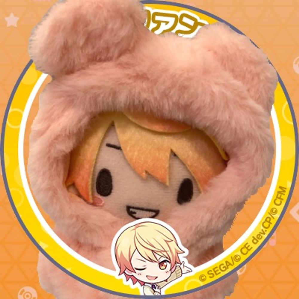 ぬいぐるみ博士