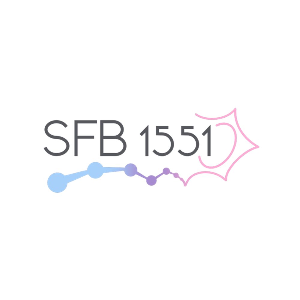 SFB 1551 - Collaborative Research Centre 1551