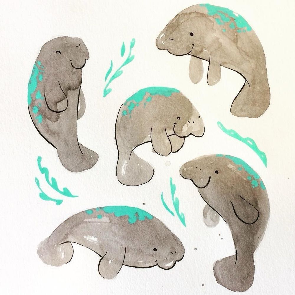 Squish
