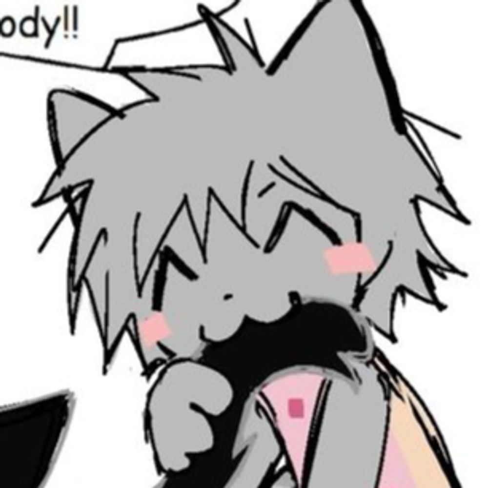 tabby / kitty
