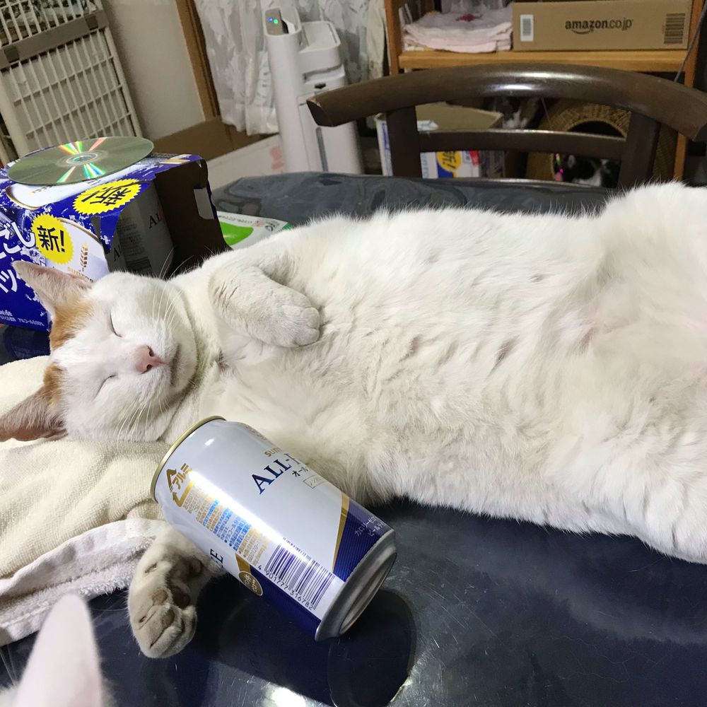 ユースケ