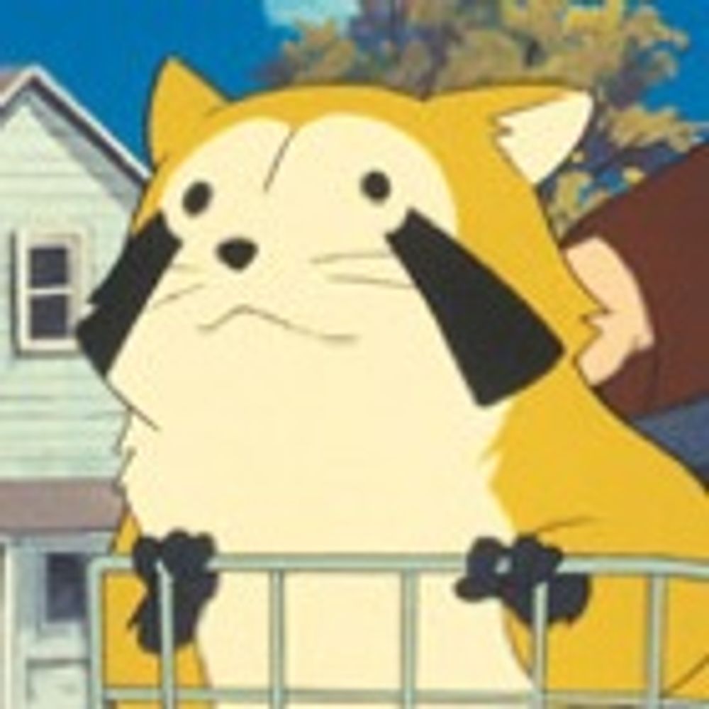きょん