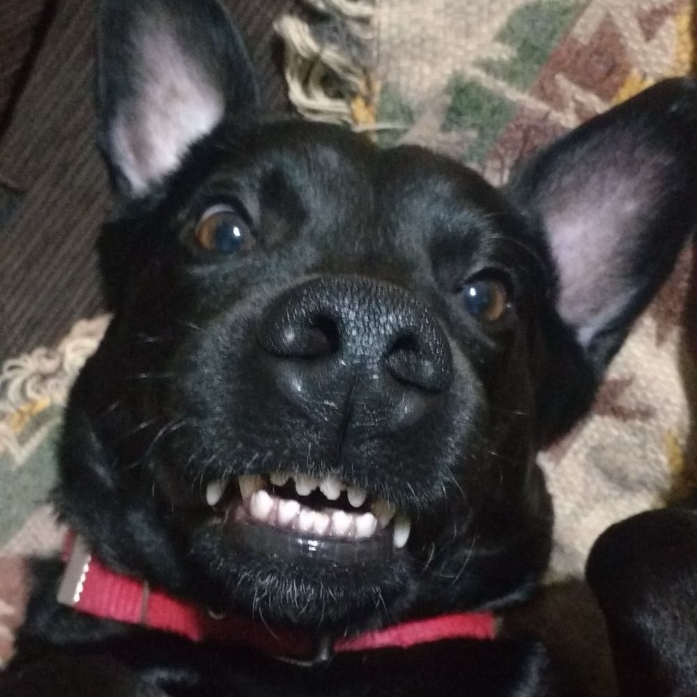 ju
