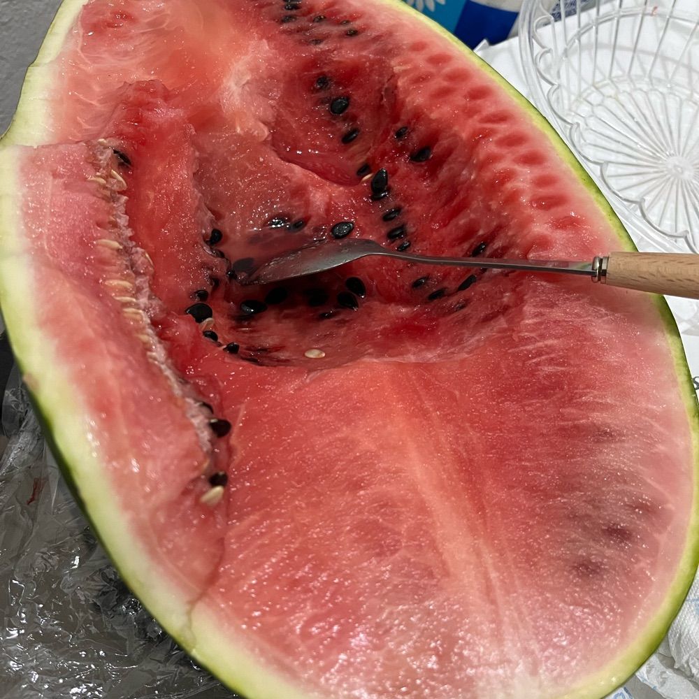 Nature Is Wild