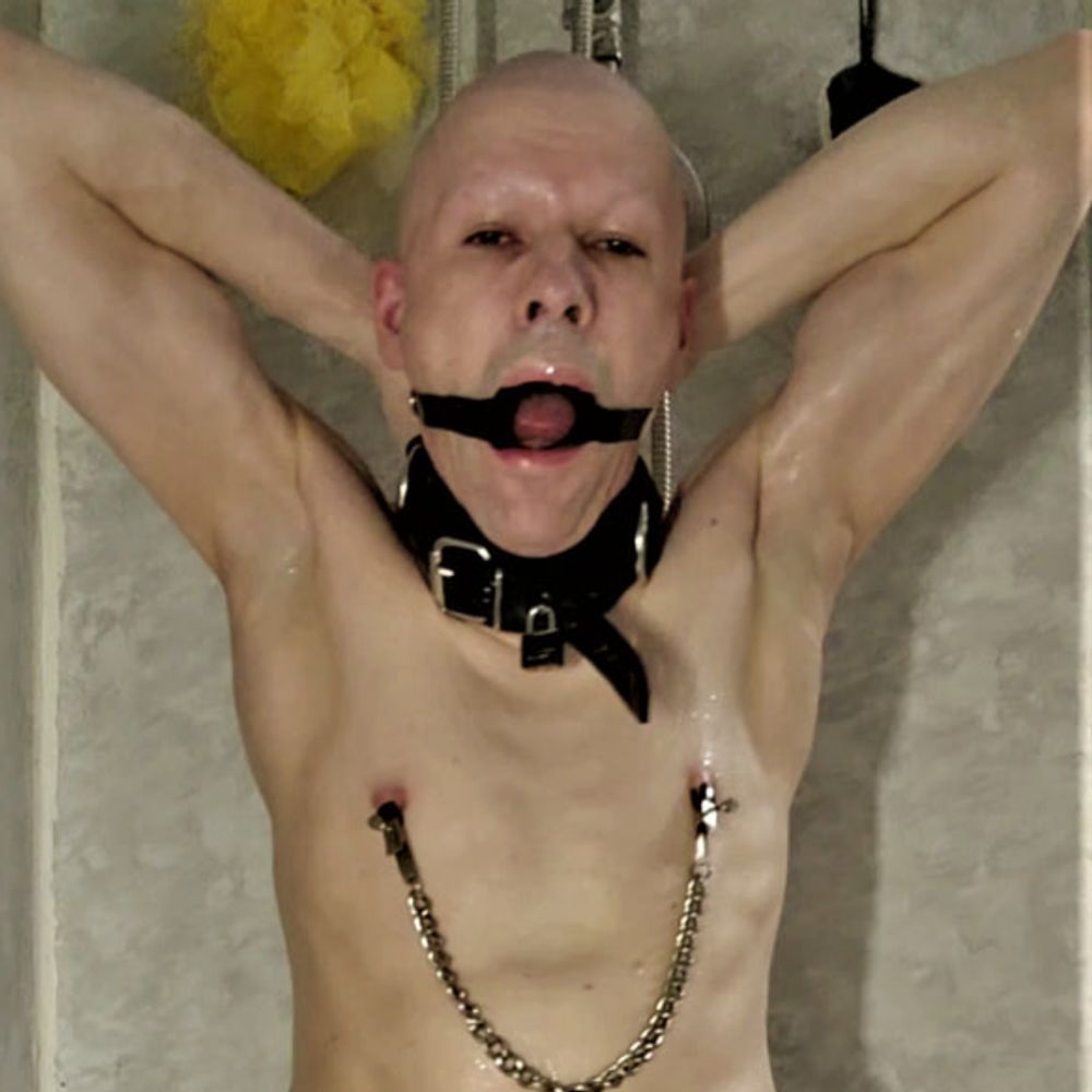 Cumlicker pig