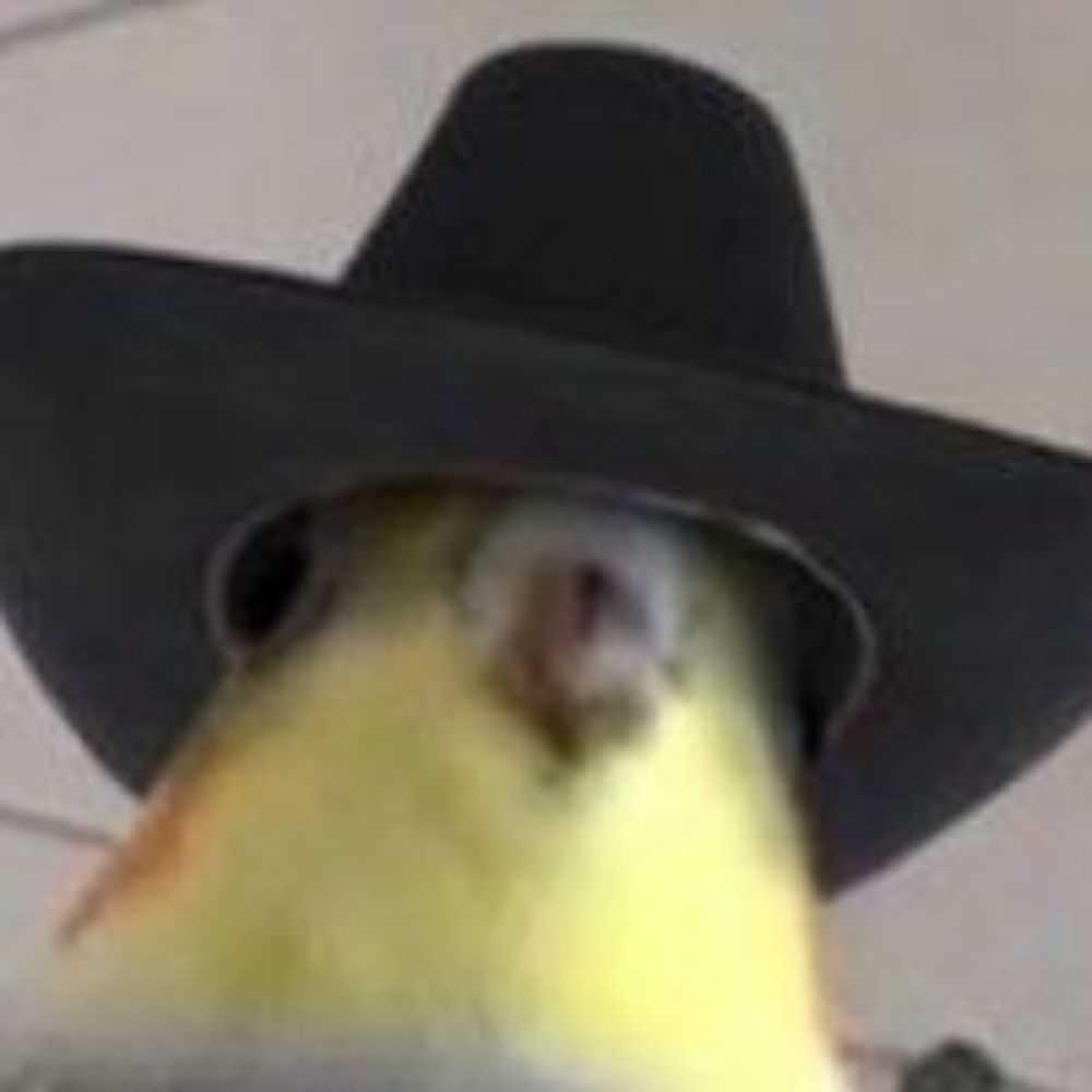 User avatar