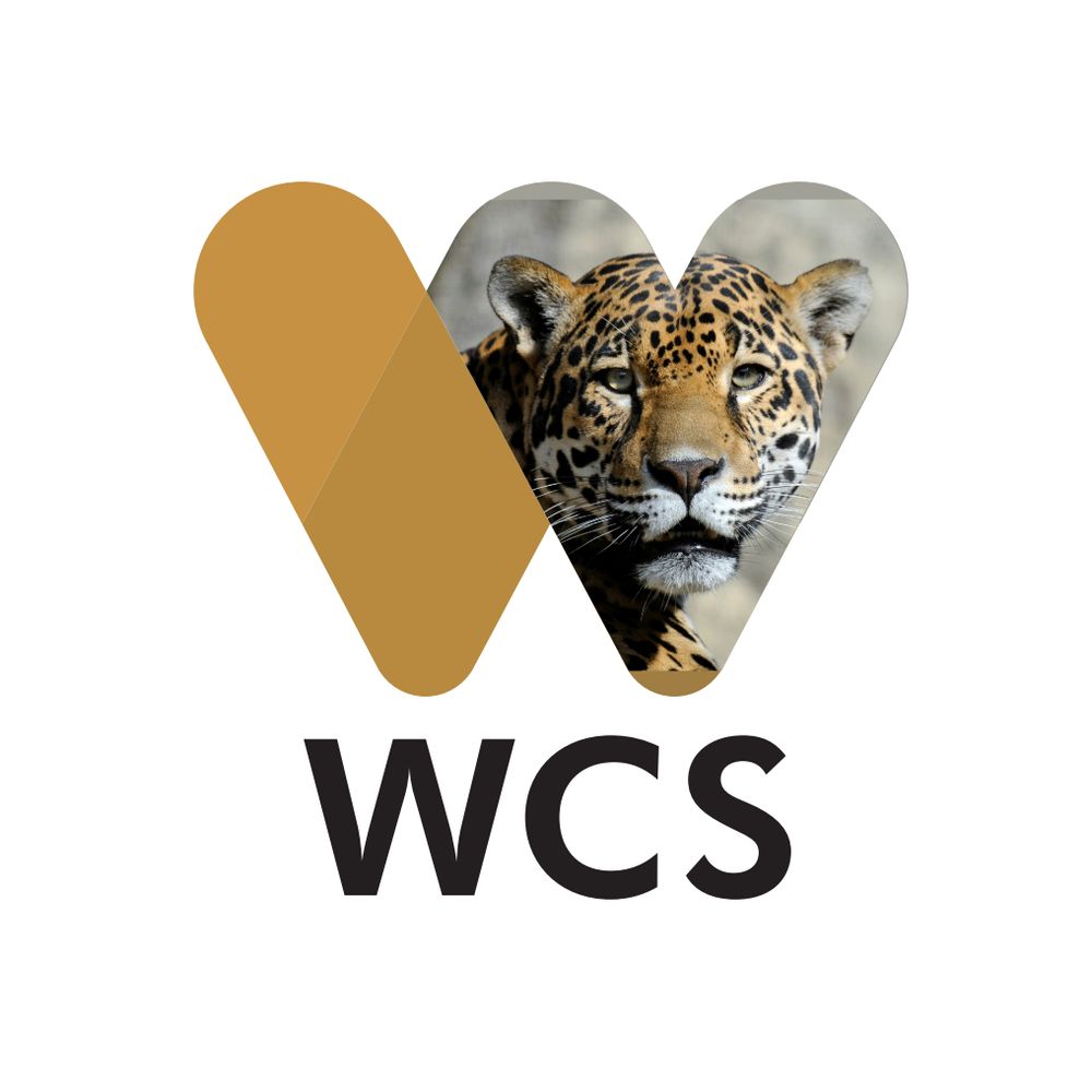 WCS Mesoamérica y el Caribe