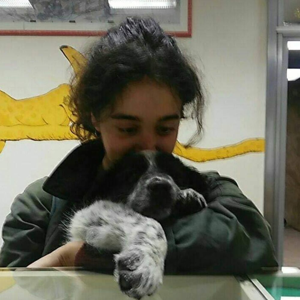 Diana (🐗Cinghiana)