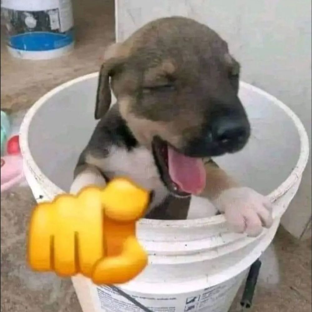 Sapo