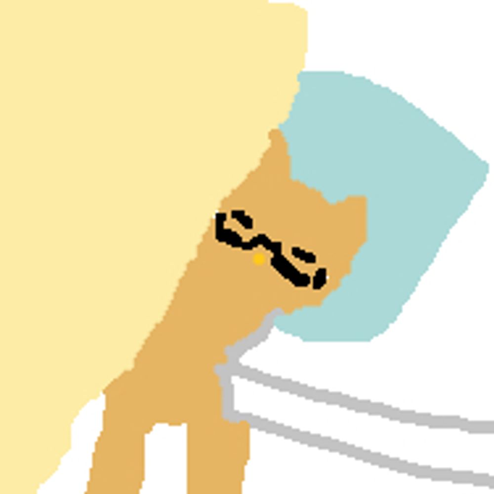 아니마