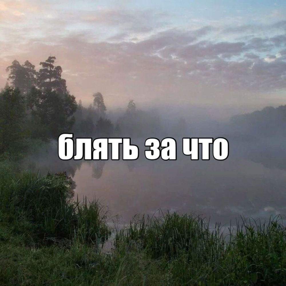 Папоротник опять под веществами