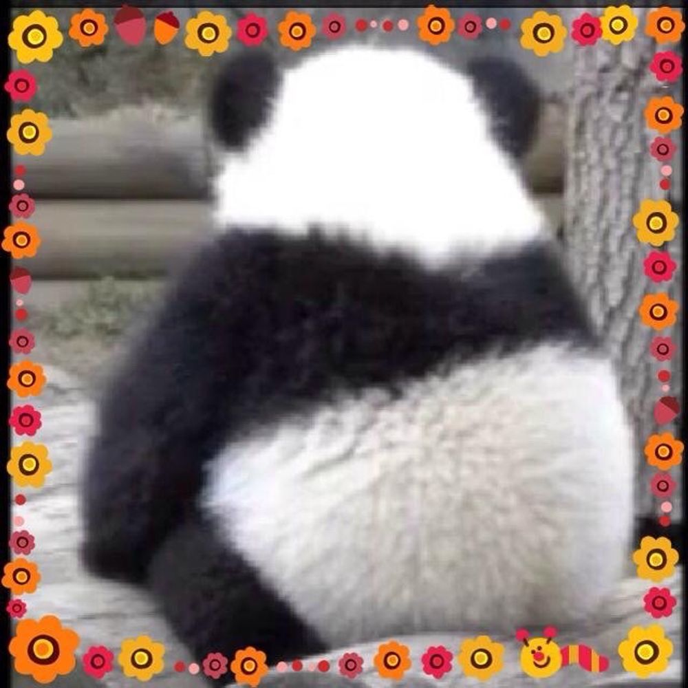 YOSHIE