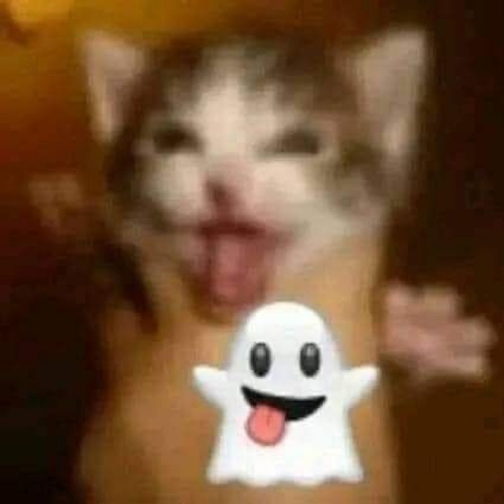 fiote di gato
