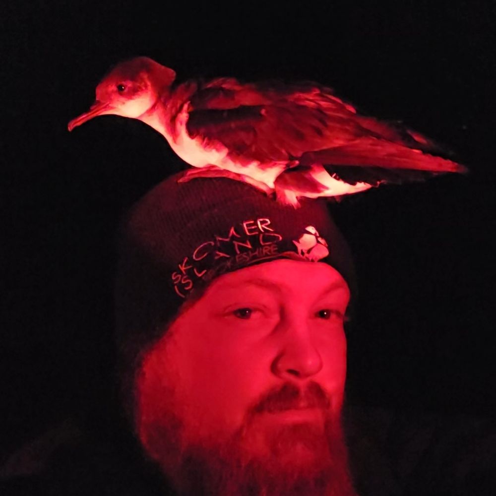 The Wildlife Man