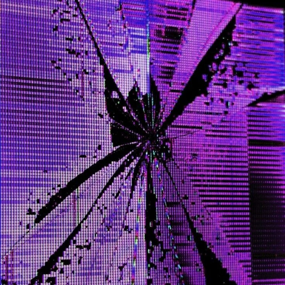 Bri 💿🪻