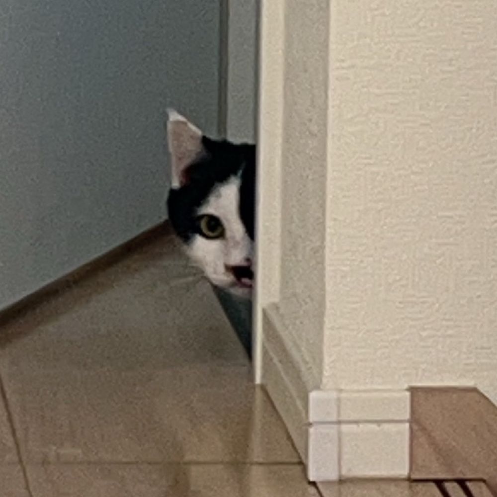 どぅ