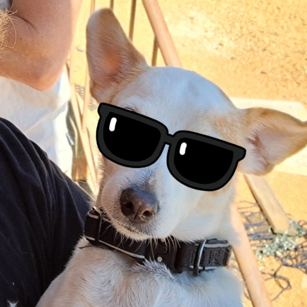 Pup Scout