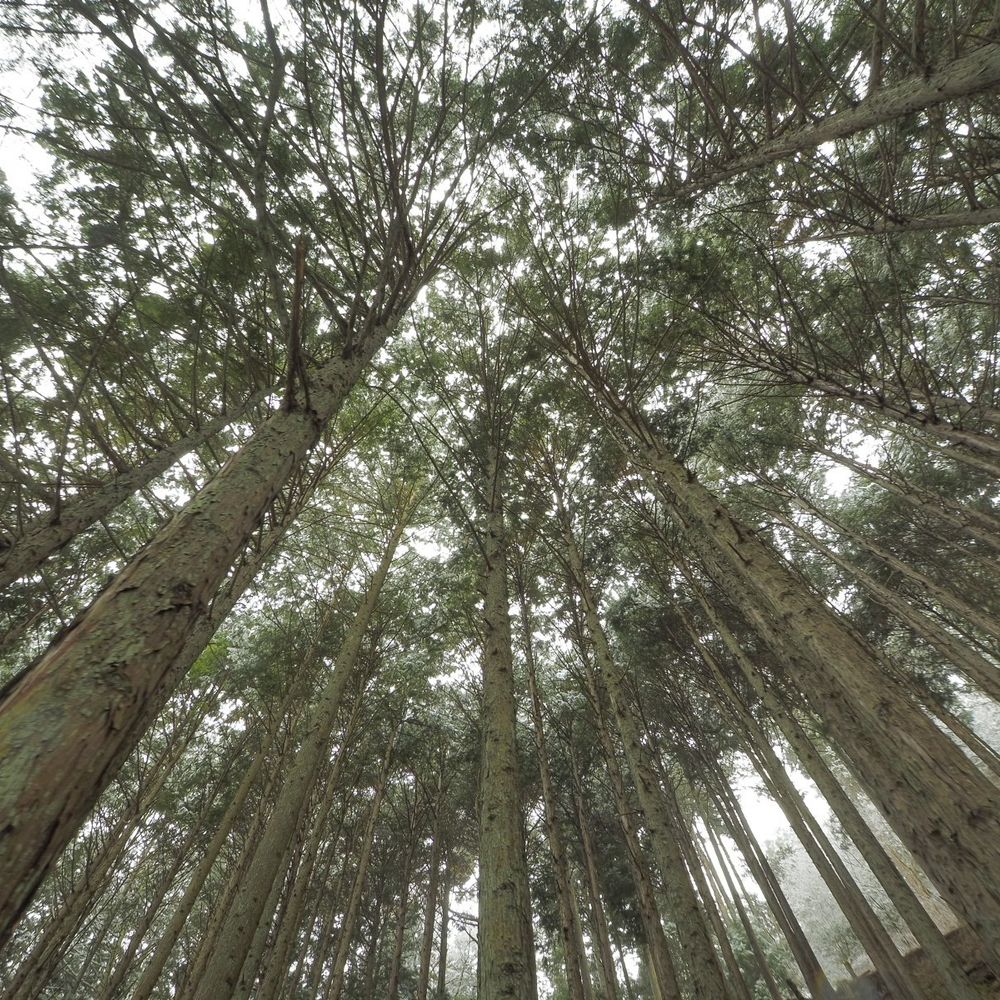 風景写真が好き