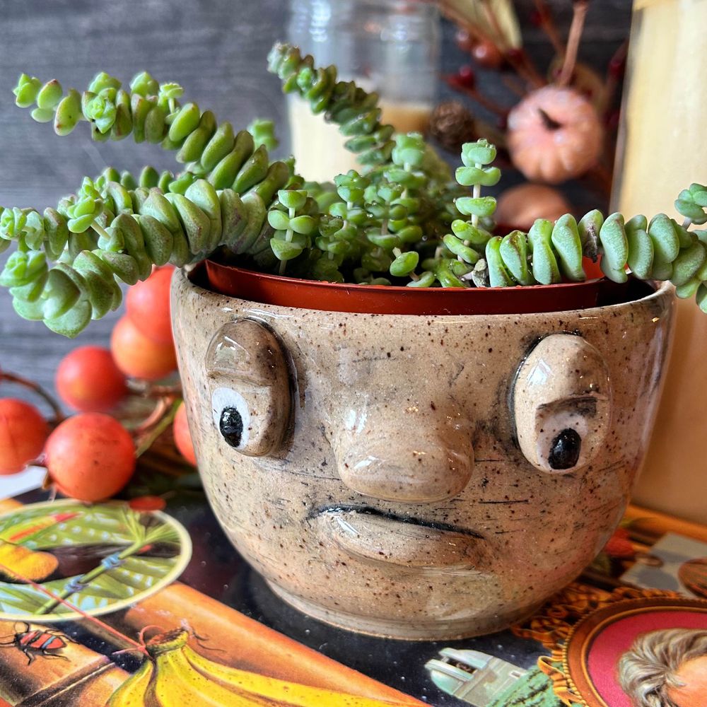HappyDonkey 