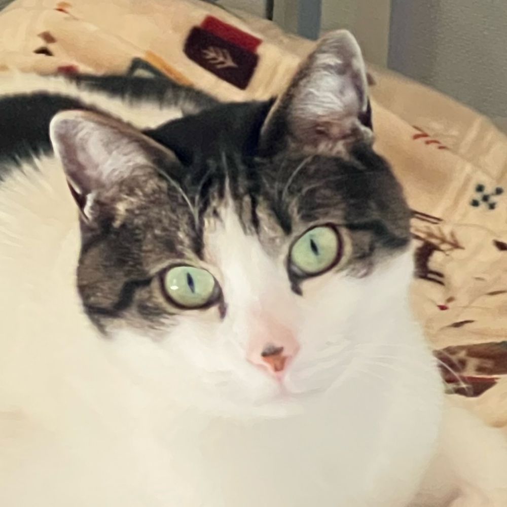 ﾜﾋﾞﾁｬﾝ大好き