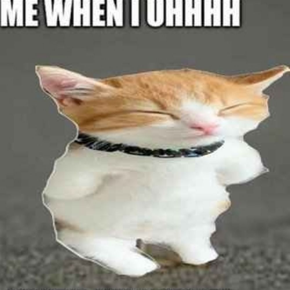 Spag?