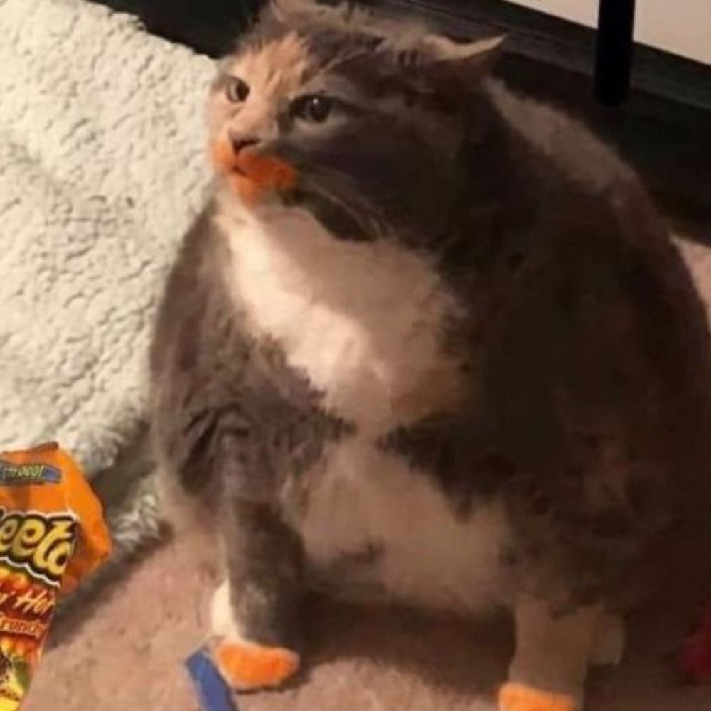 bru