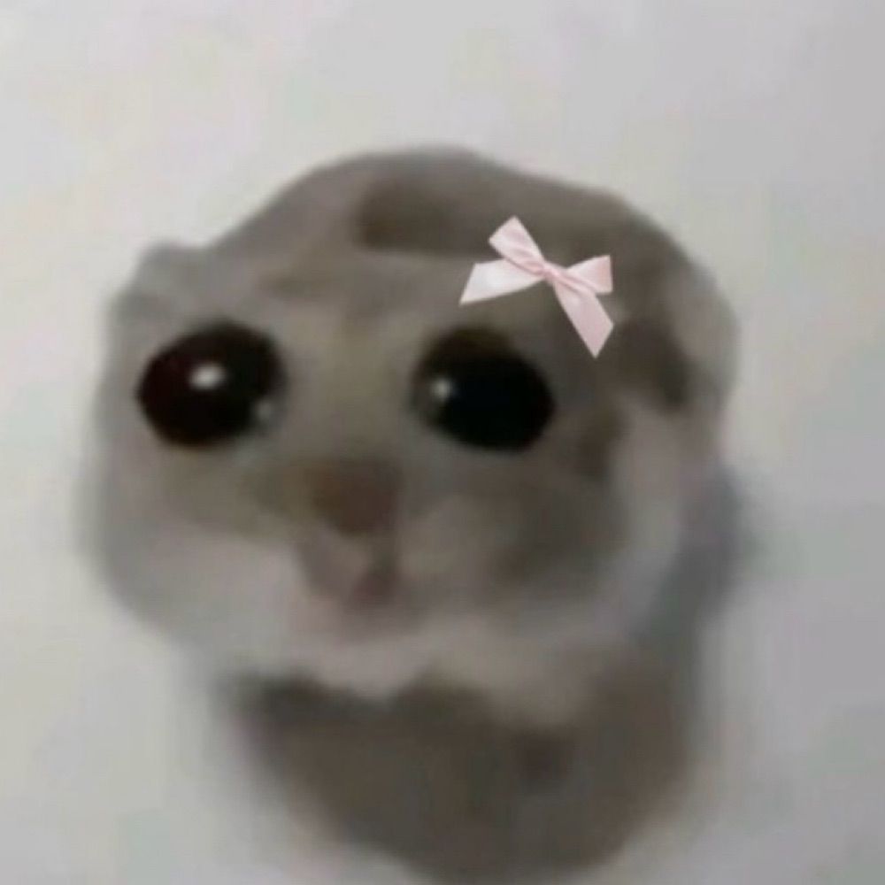 twinkerbell 🧚