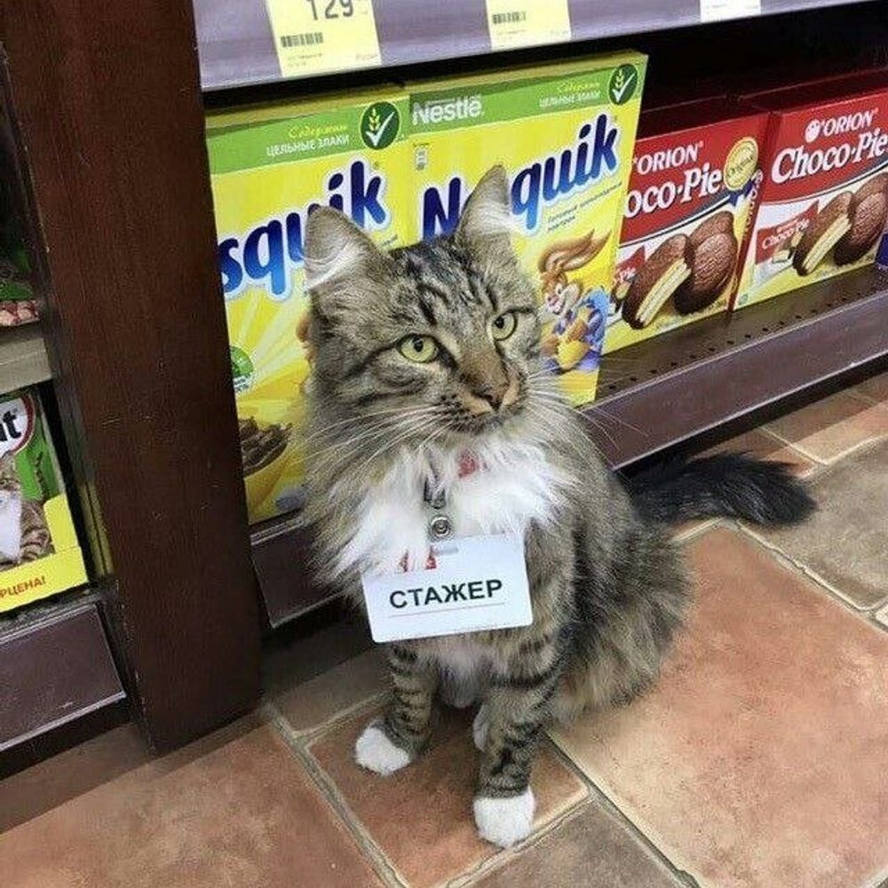 kale
