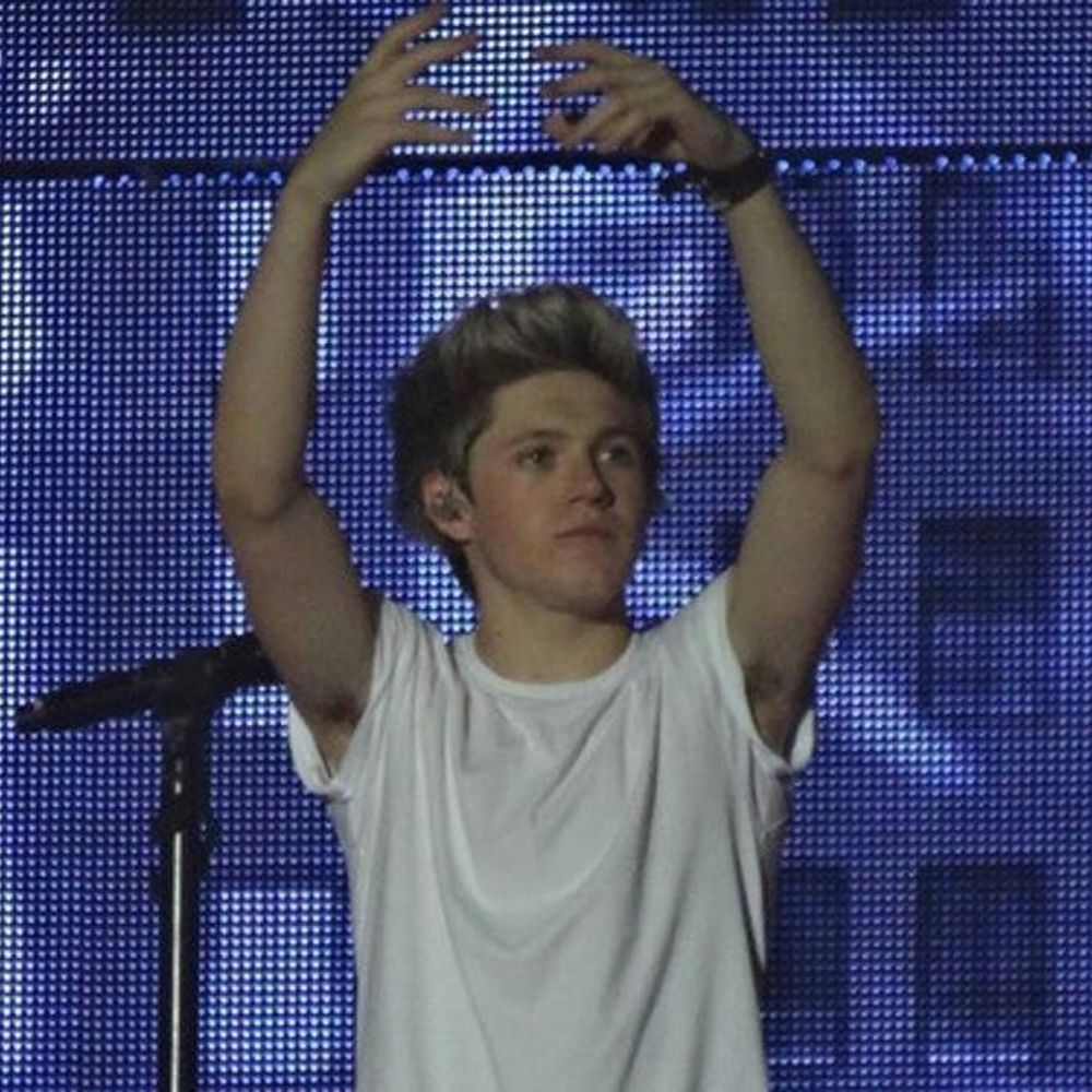 niall's wife