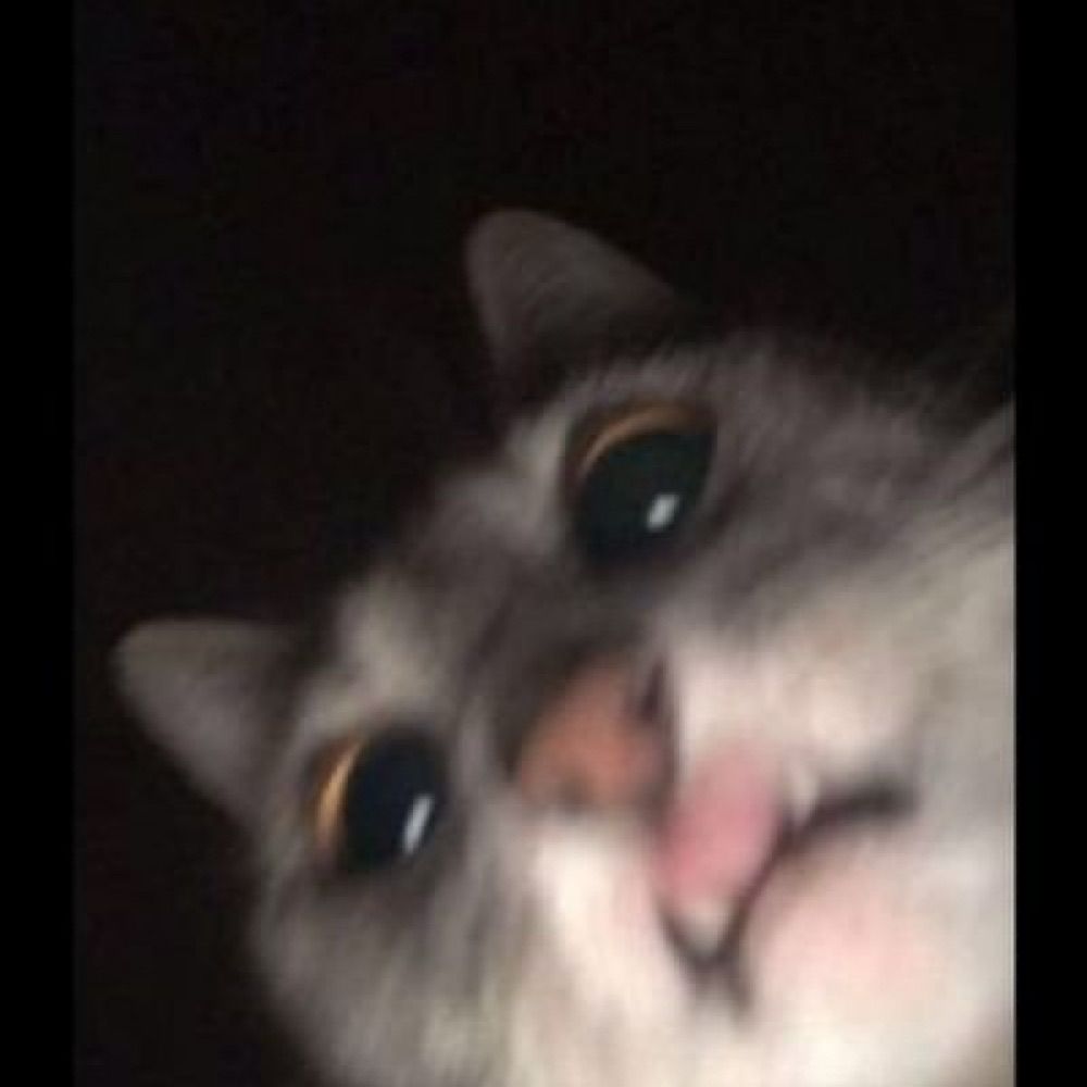 lua