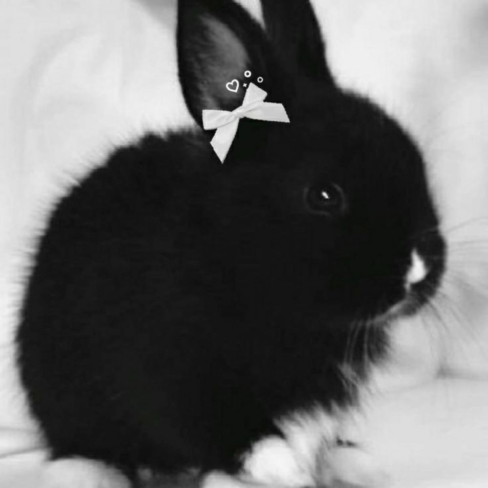 Nixnuun