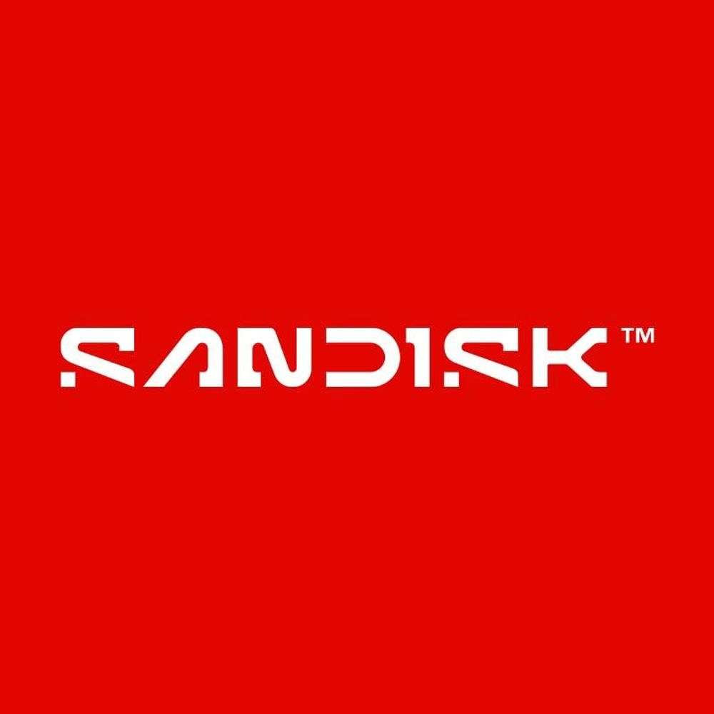 Sandisk Storage
