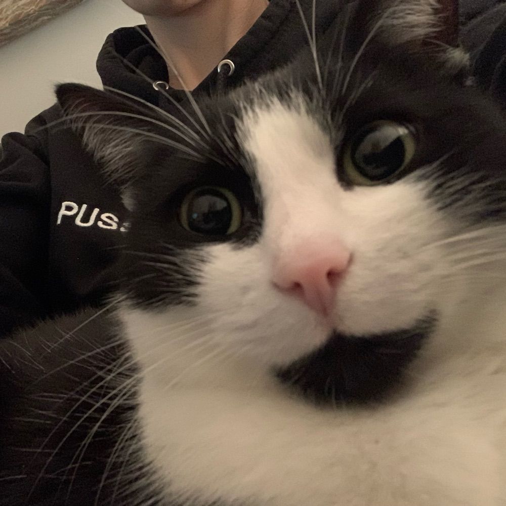 Kat