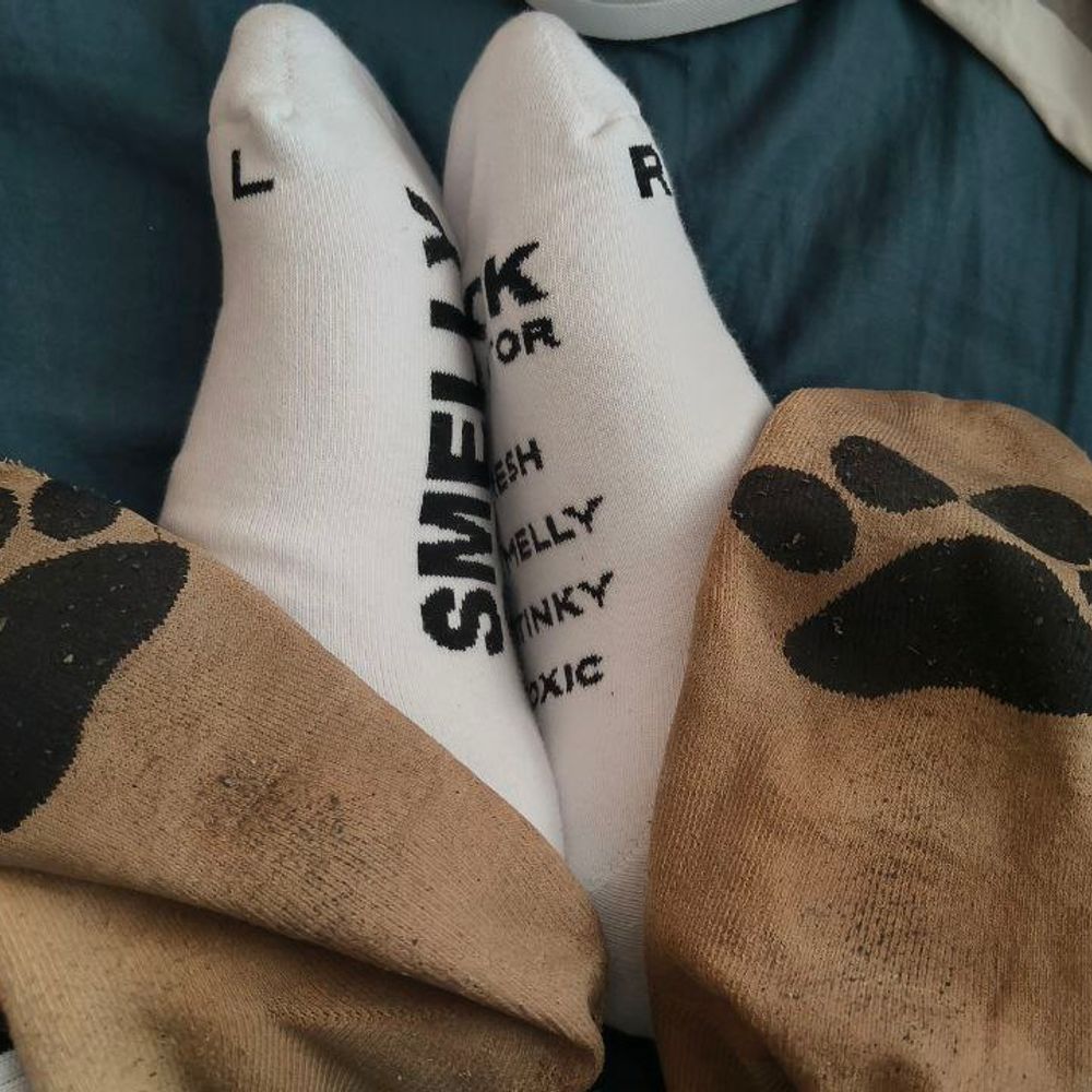 sock addict