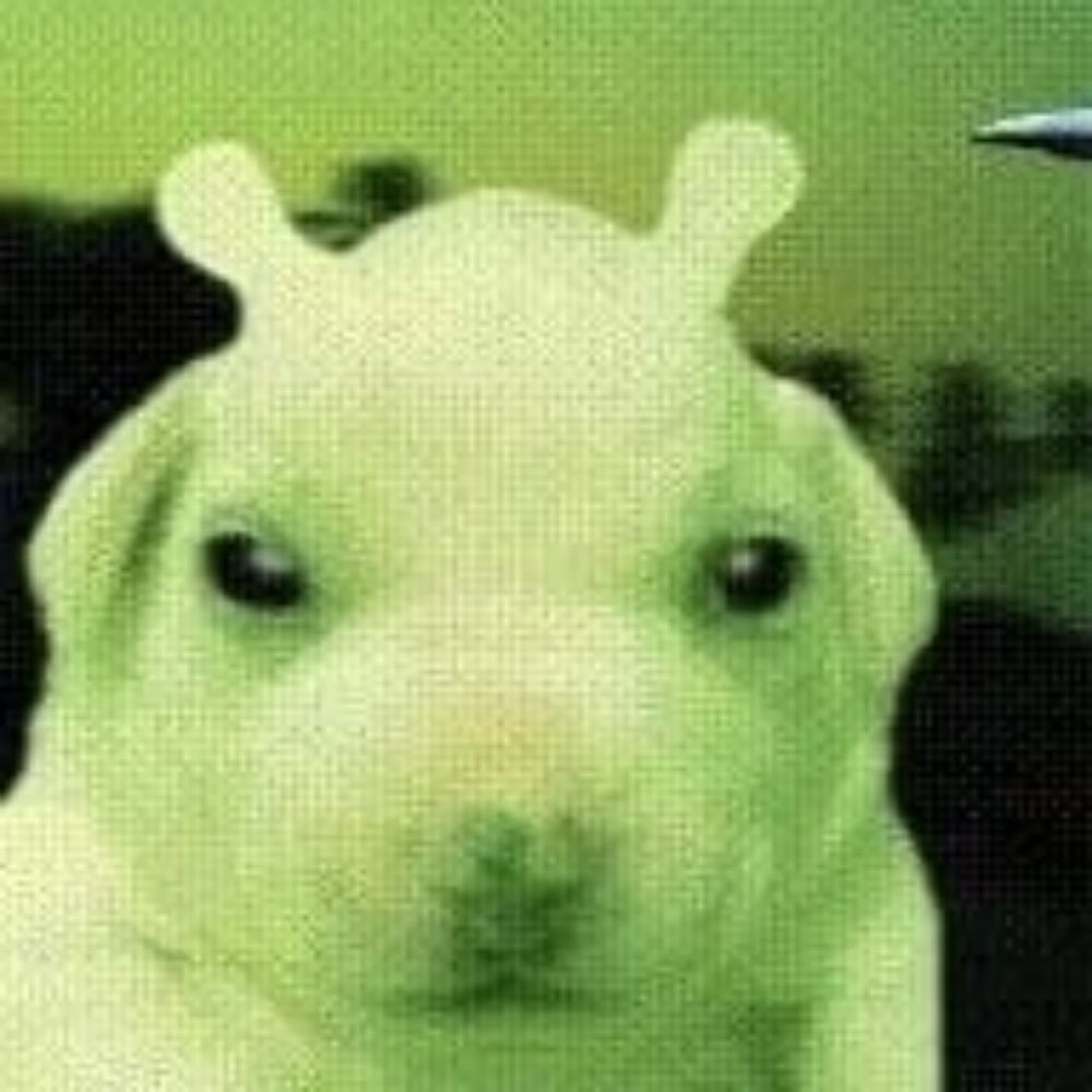 • ᴍɪɢᴜᴇʟ ꜰʀᴀɴçᴀ 