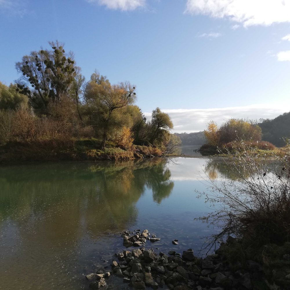 BIodiversity and BioGEochemistry of Riverine landscapes