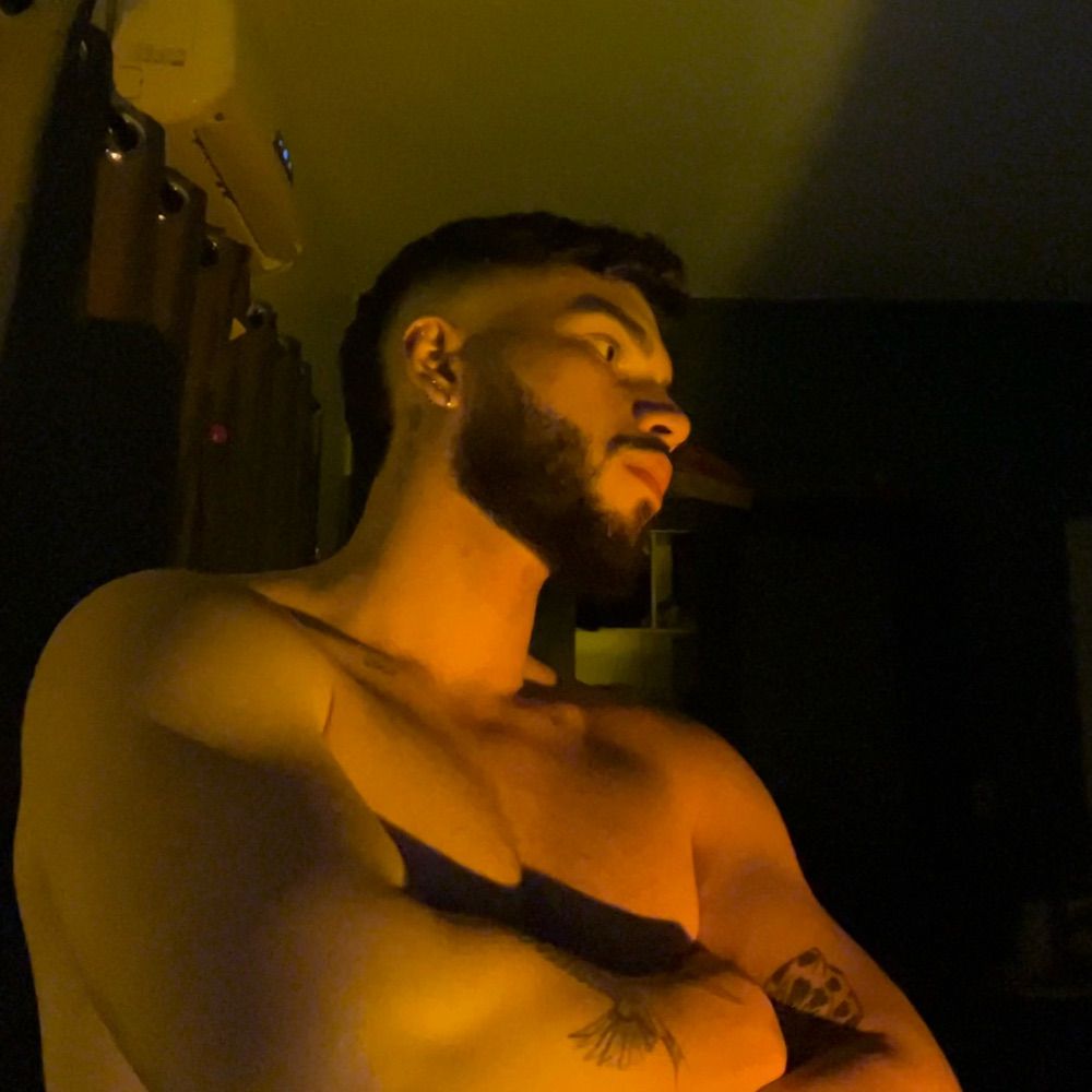 davidiniz