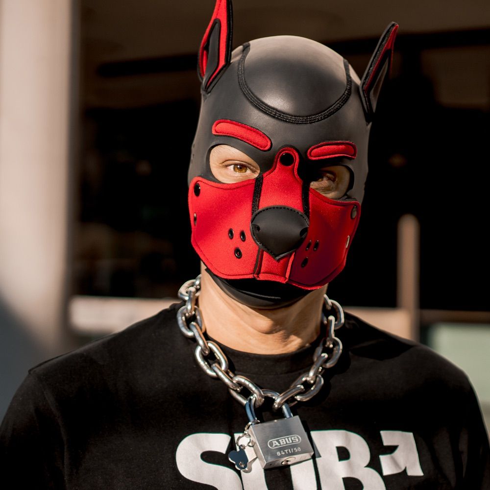 Pup_Coby