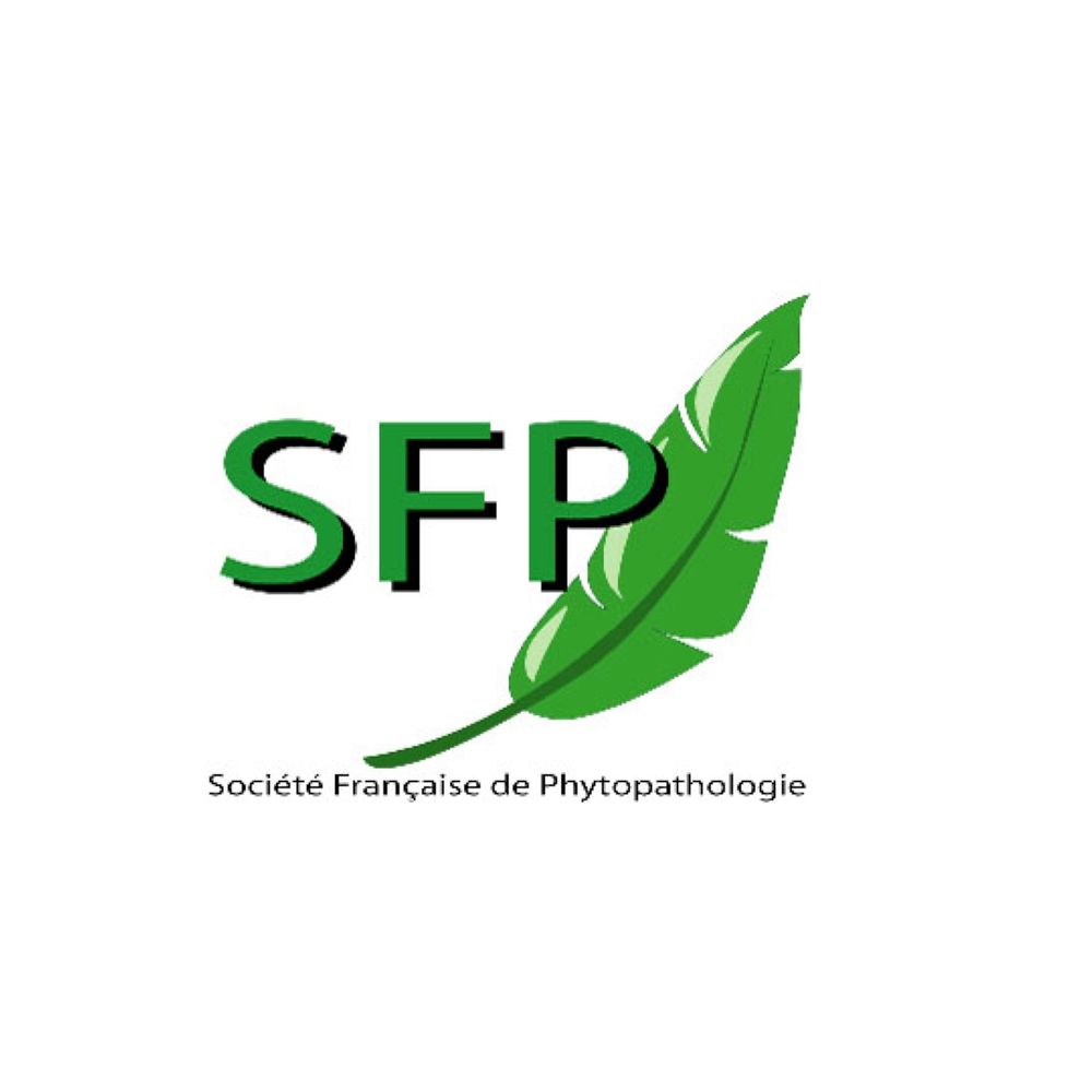 Profile picture sfp-france.bsky.social