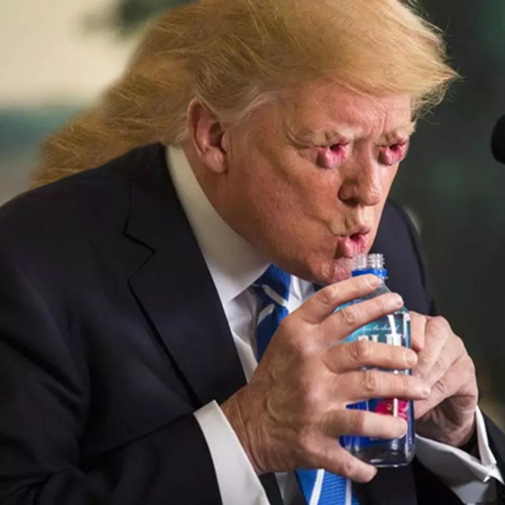 tronalddumpmaga.bsky.social profile picture