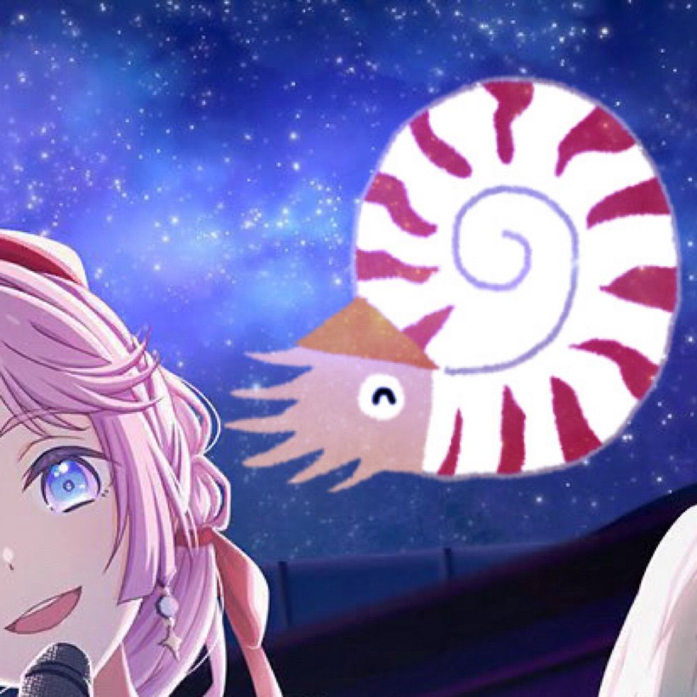 オウムガイ🦑🐚