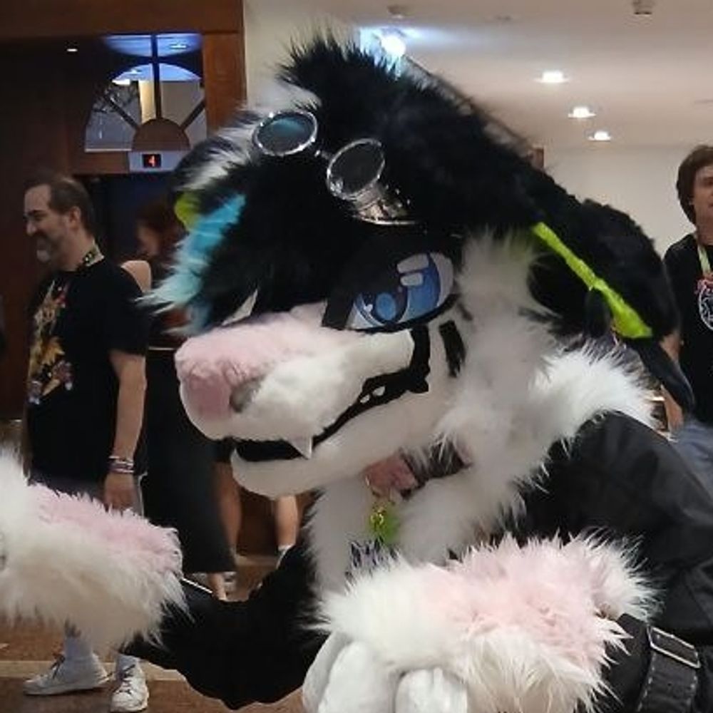 Cary Mlem 🇵🇹 🔜 Awoostria