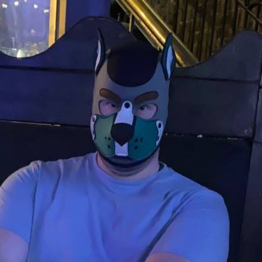 Pup Timber