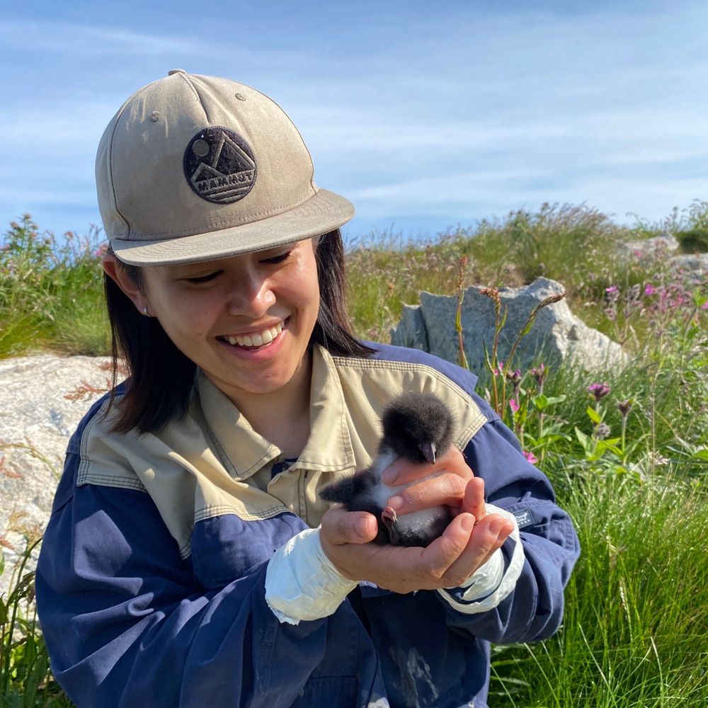 Saria Sato 🐧🌿🏔