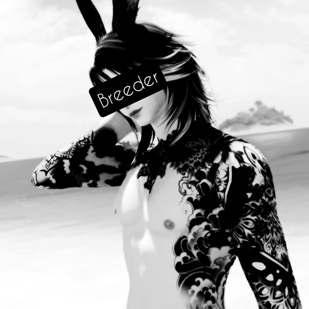 🐇 𝐒𝐓𝐔𝐃 𝐁𝐔𝐍𝐍𝐘 🐇