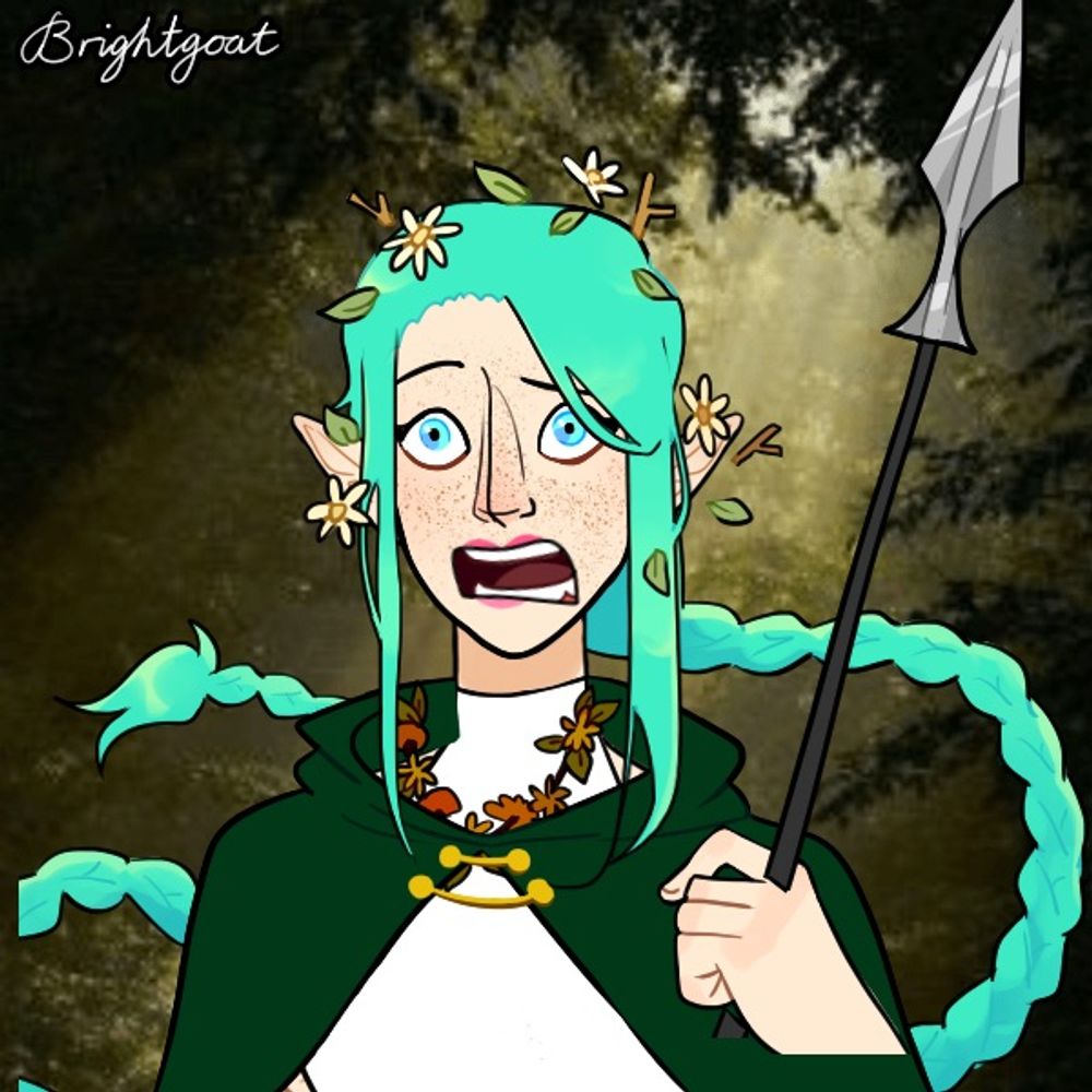 shulkie
