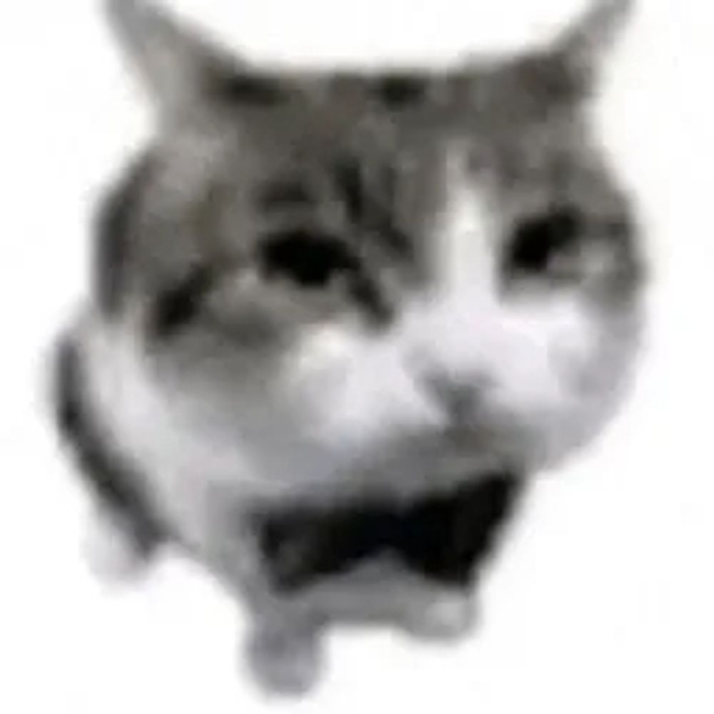 wyvren