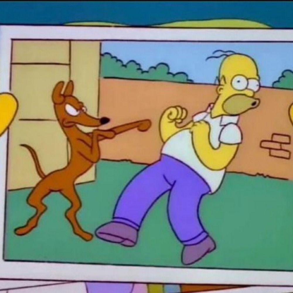 XP